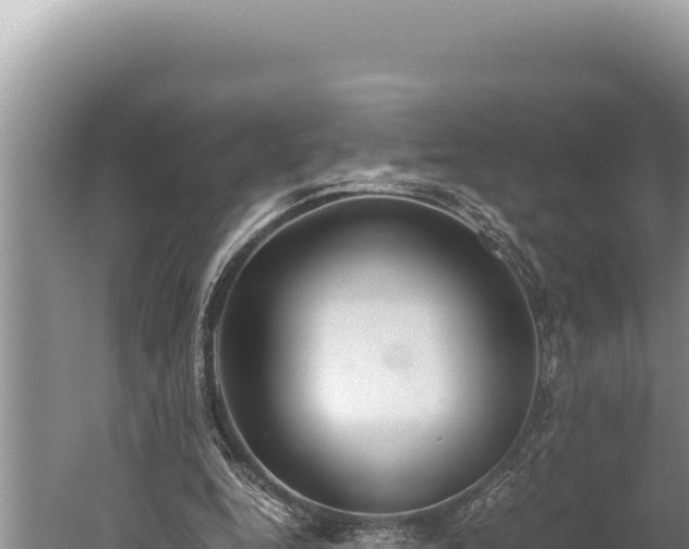 X0000059800344200510281645