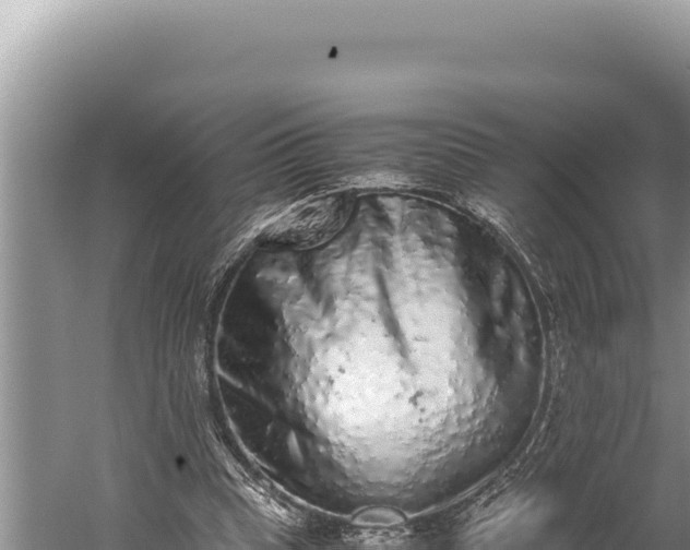 X0000059800345200510281645