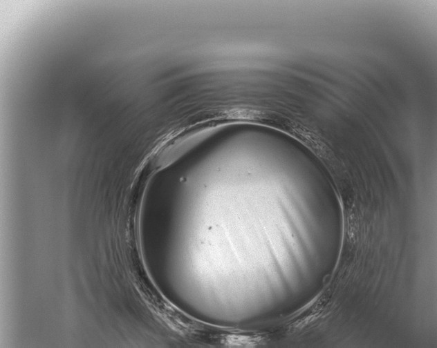 X0000059800347200510281645