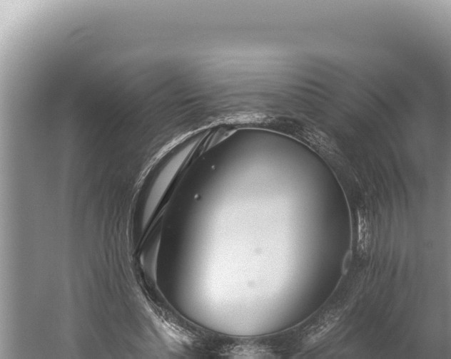 X0000059800348200510281645