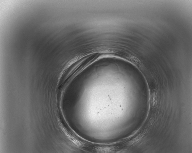 X0000059800349200510281645