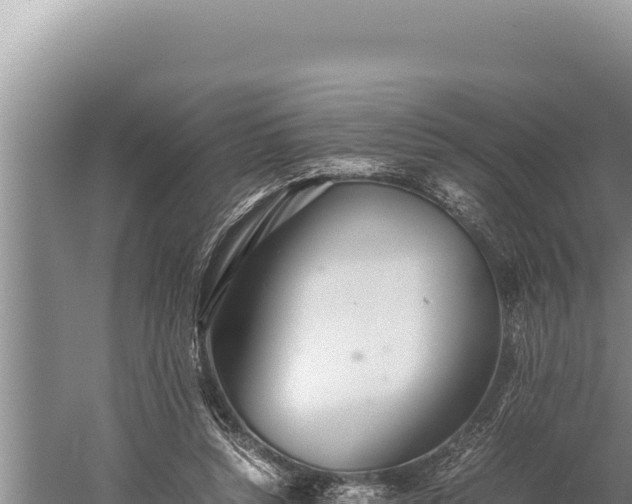 X0000059800352200510281645