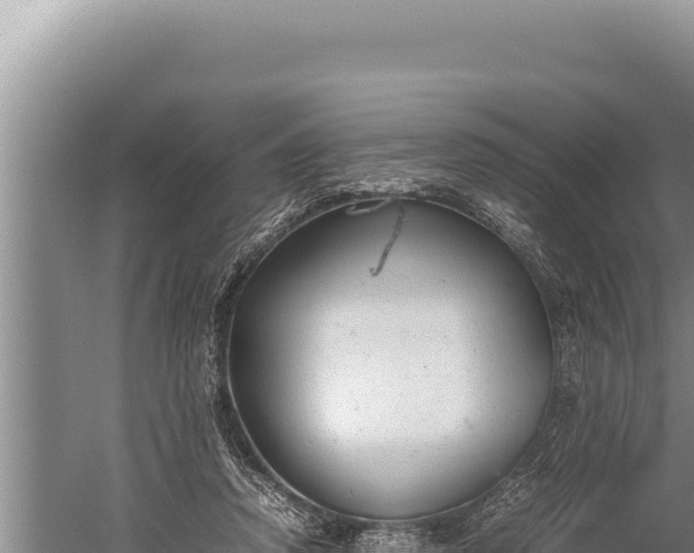 X0000059800354200510281645