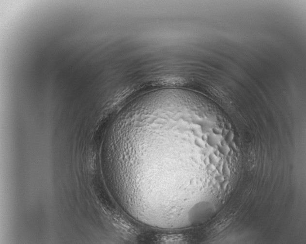 X0000059800355200510281645