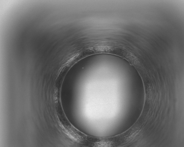 X0000059800356200510281645