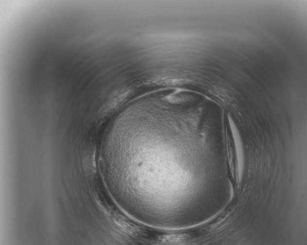 X0000059800358200510281645