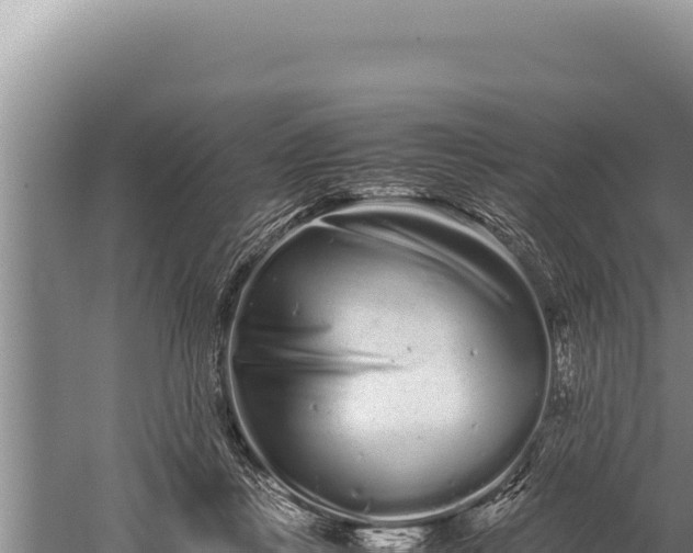 X0000059800359200510281645