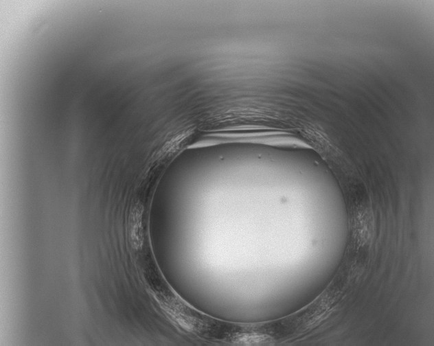 X0000059800360200510281645