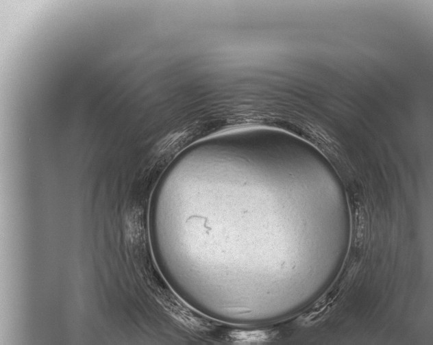 X0000059800361200510281645