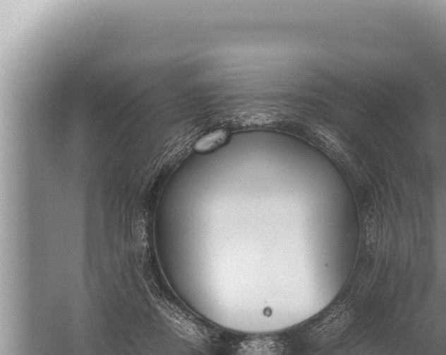 X0000059800362200510281645