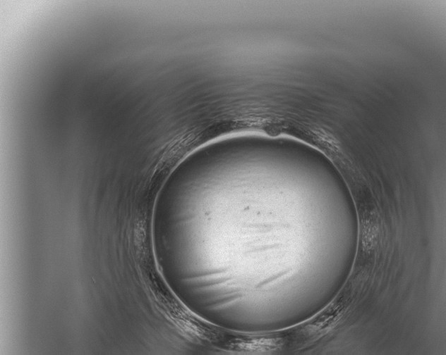 X0000059800365200510281645