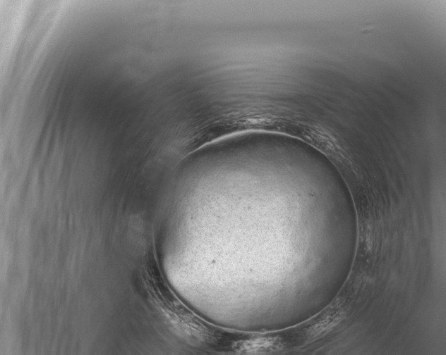 X0000059800366200510281645