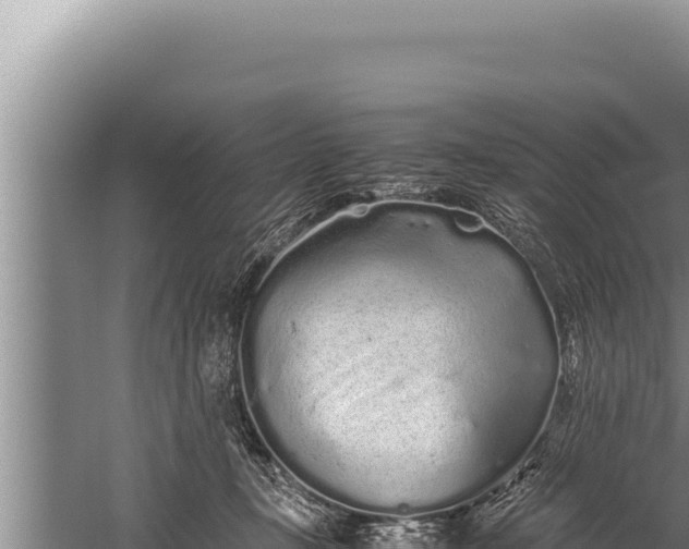 X0000059800367200510281645