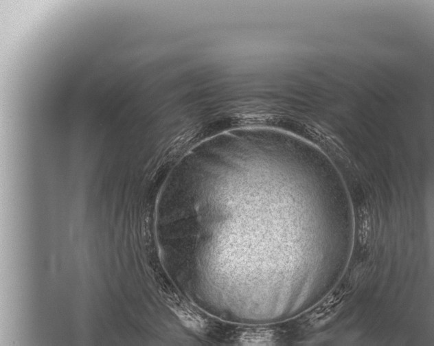 X0000059800369200510281645