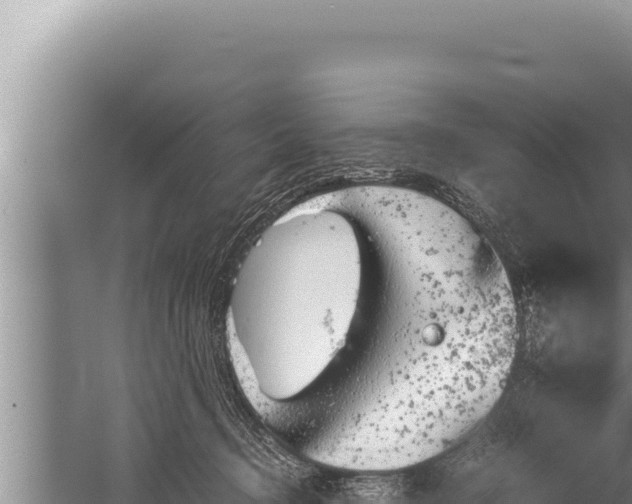 X0000059800370200510281645