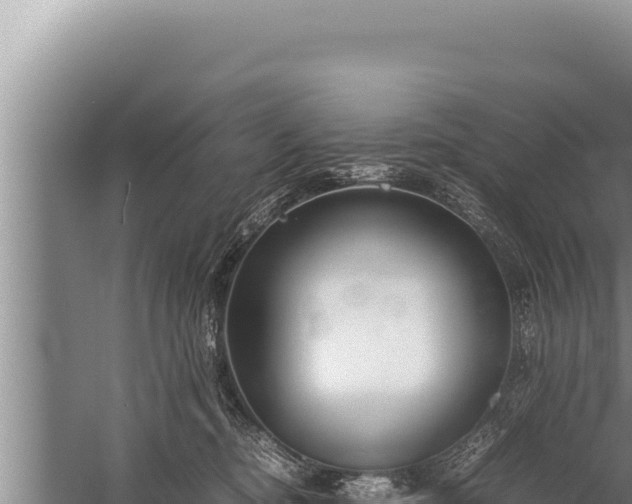 X0000059800374200510281645