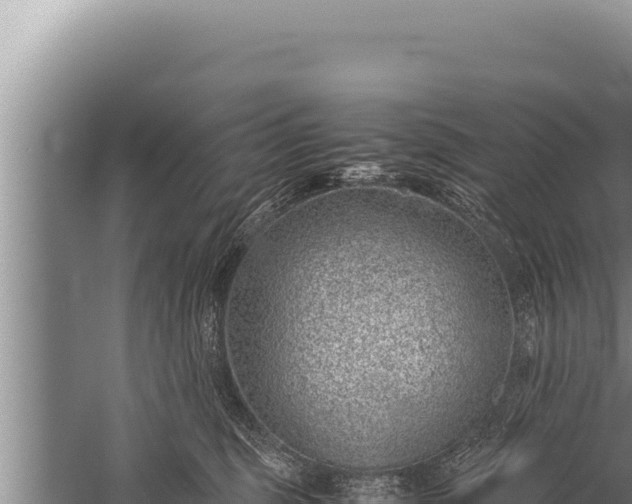 X0000059800375200510281645