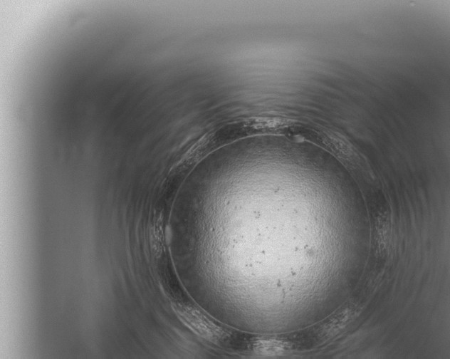 X0000059800376200510281645