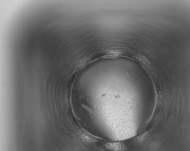 X0000059800377200510281645