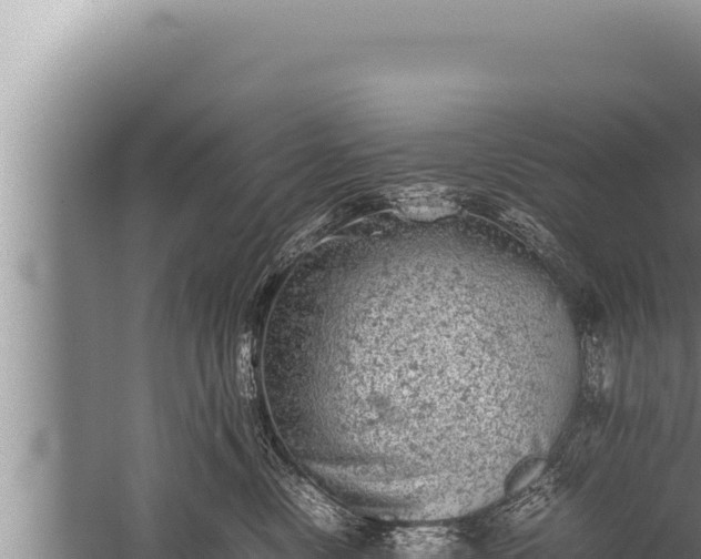 X0000059800378200510281645