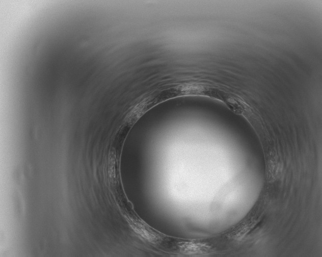 X0000059800379200510281645