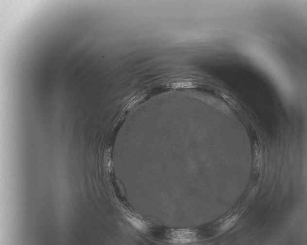 X0000059800383200510281645