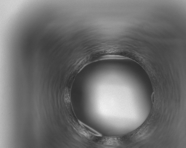 X0000059800384200510281645