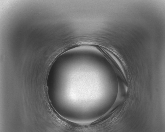 X0000059800385200510281644