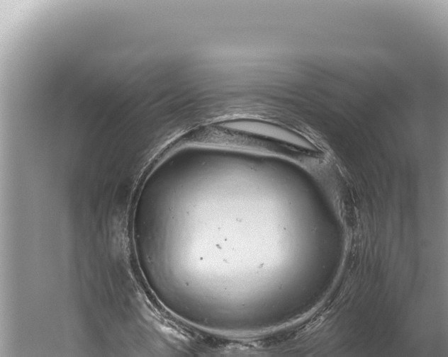 X0000059800386200510281644