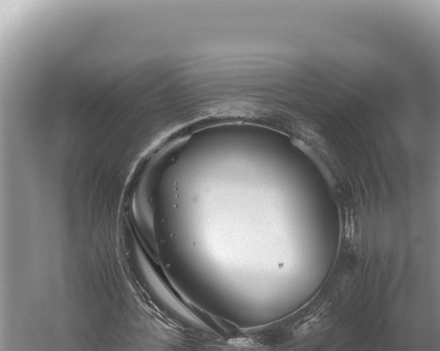 X0000059800388200510281644