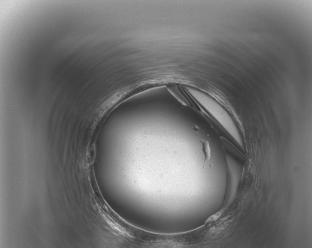 X0000059800389200510281644