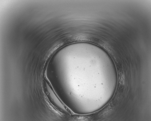 X0000059800390200510281644