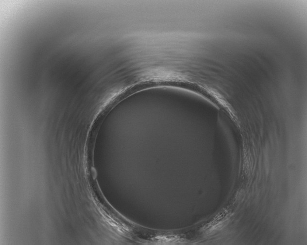 X0000059800391200510281644