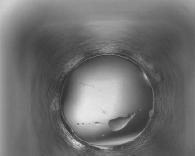 X0000059800393200510281644