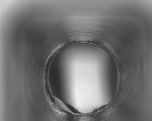 X0000059800395200510281644