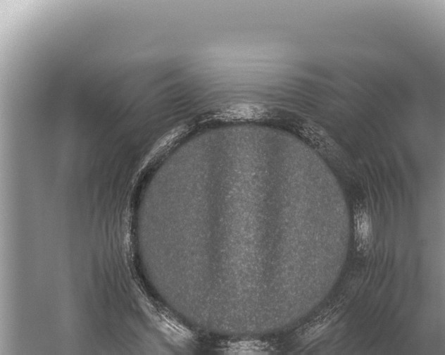 X0000059800396200510281644