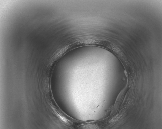 X0000059800397200510281644