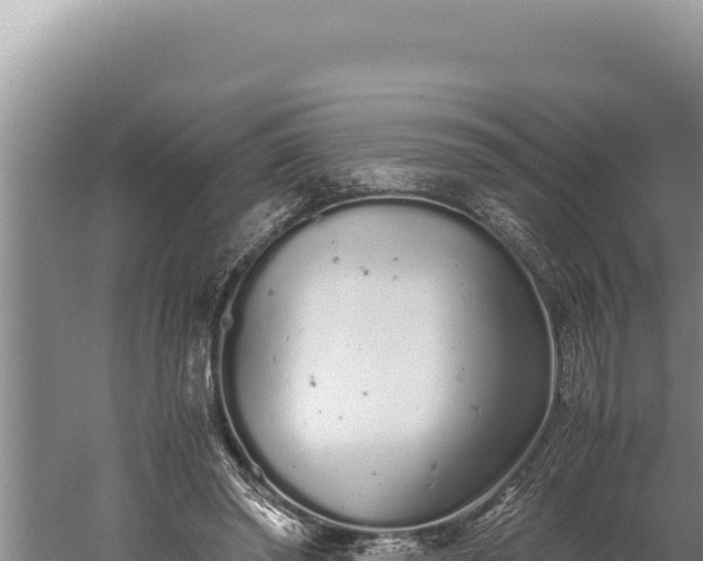 X0000059800398200510281644