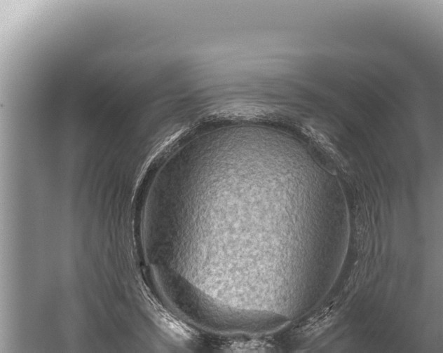 X0000059800399200510281644