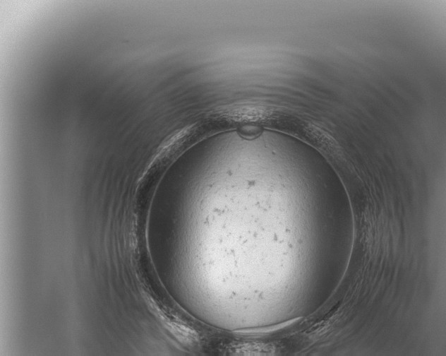 X0000059800400200510281644