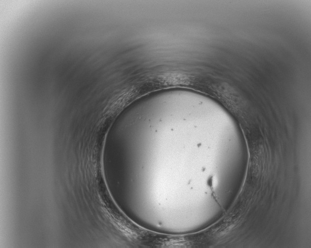 X0000059800402200510281644