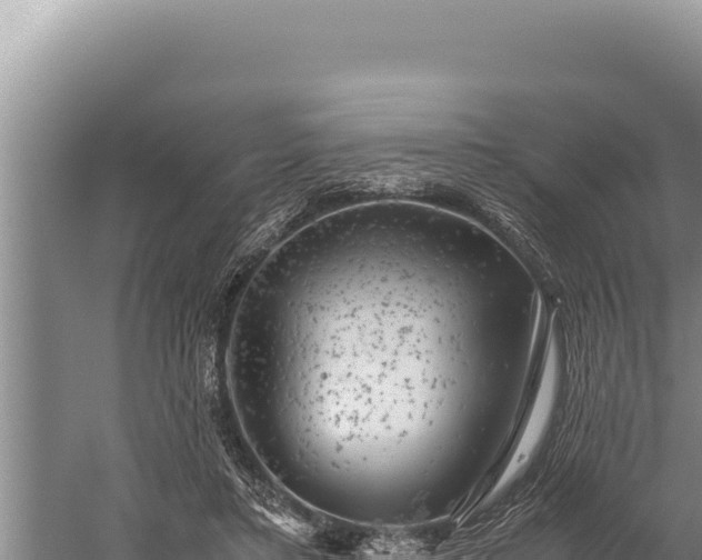 X0000059800403200510281644