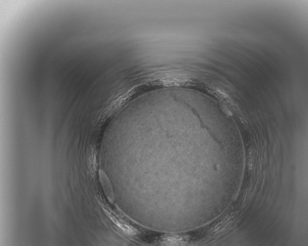 X0000059800405200510281644