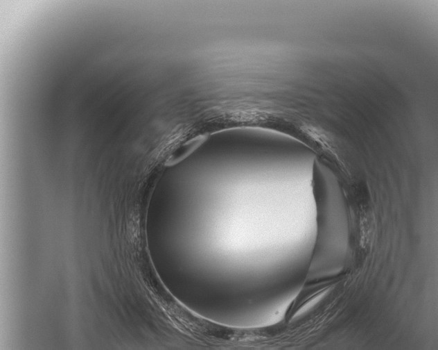 X0000059800407200510281644