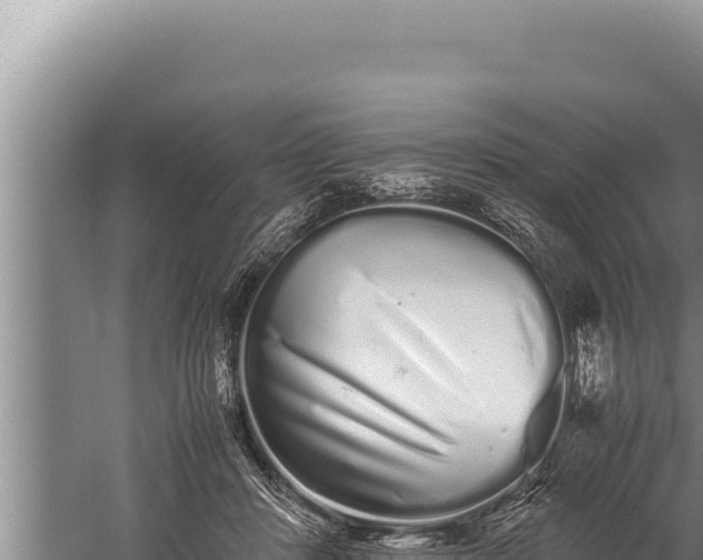 X0000059800408200510281644