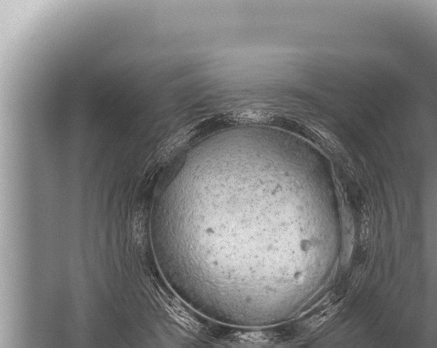 X0000059800409200510281644