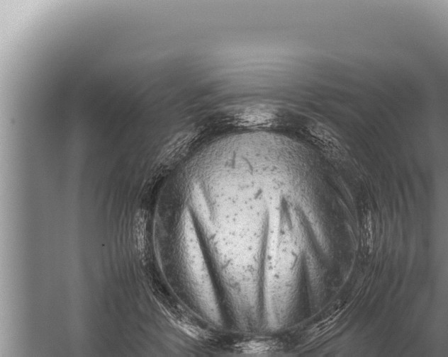 X0000059800412200510281644