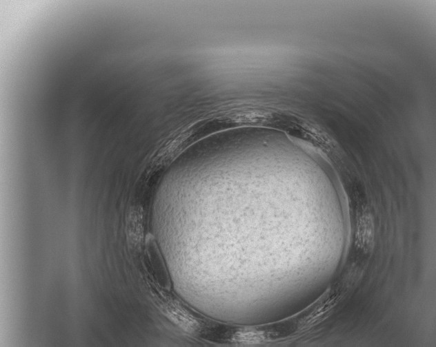 X0000059800413200510281644