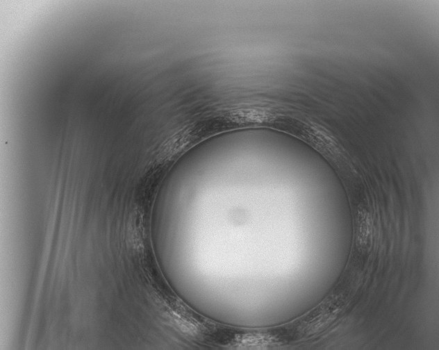 X0000059800414200510281644