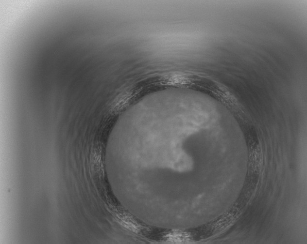 X0000059800415200510281644